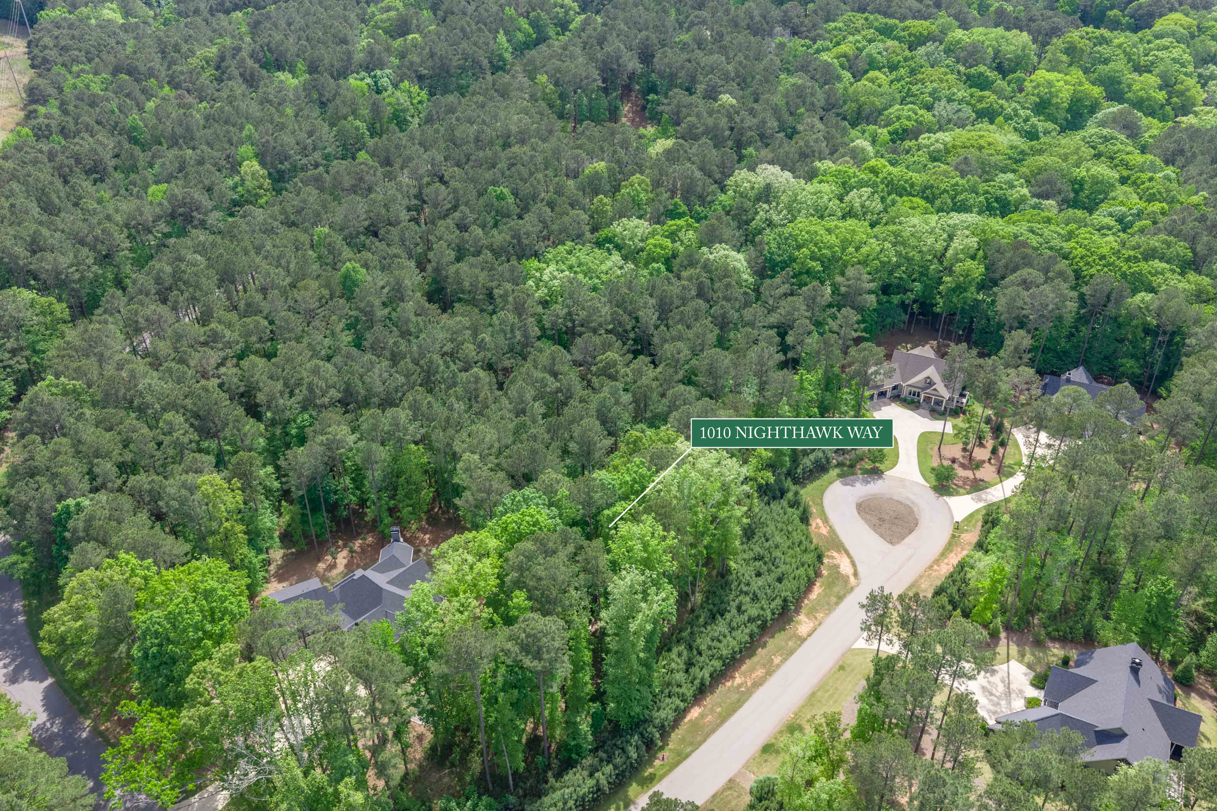 1010 Nighthawk Way image 7